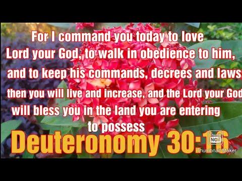 Deuteronomy 30:16