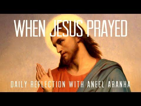 Daily Reflection with Aneel Aranha | John 17:1-11a | May 26, 2020