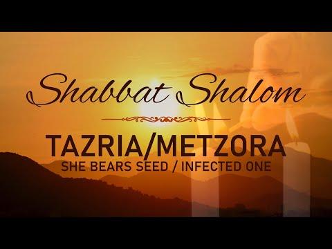 Tazria/Metzora (She Bears Seed/Infected One) - Leviticus 12:1 - 15:33 | CFOIC Heartland