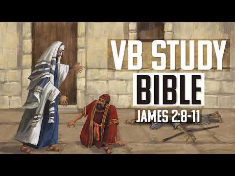 James 2:8-11 | The Video Bible Study Bible