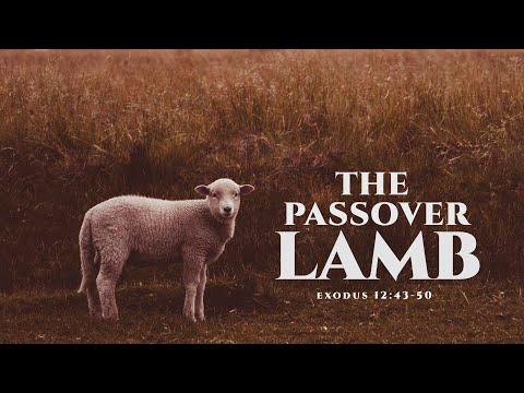 THE PASSOVER LAMB (Exodus 12:43-50)| Ptr. Marvin Gibson, Jr.