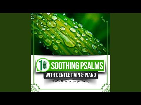 Psalm 5:11 & More (Psalms with Gentle Rain)