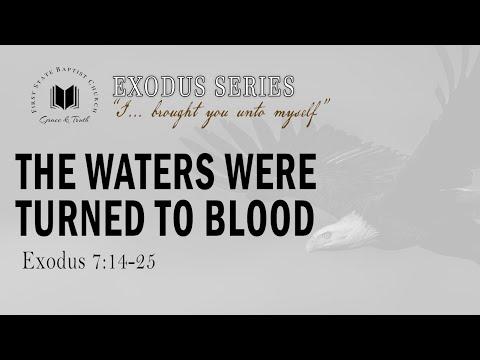 The Waters Were Turned To Blood: Exodus 7:14-25