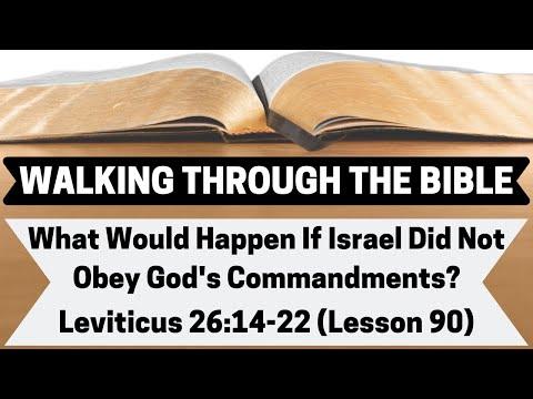 What Would Happen If Israel Did Not Follow God's Commandments? [Leviticus 26:14-22][Lesson 90][WTTB]
