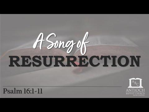 A Song of Resurrection (Psalm 16:1-11)