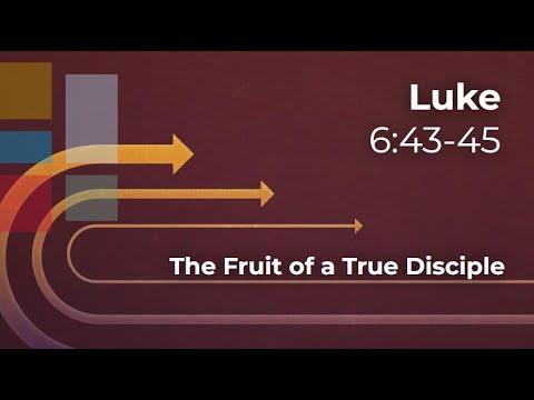 The Fruit of a True Disciple - Luke 6:43-45