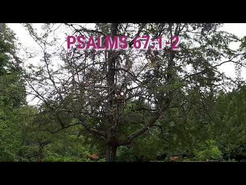PSALMS 67:1-2 || DAILY WALK WITH ANNE