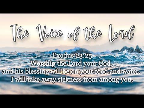 Exodus 23:25 The Voice of the Lord   March 5, 2021 by Pastor Teck Uy