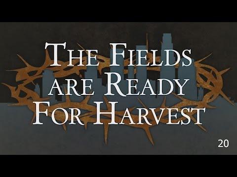 The Fields are Ready for Harvest - John 4:34-38