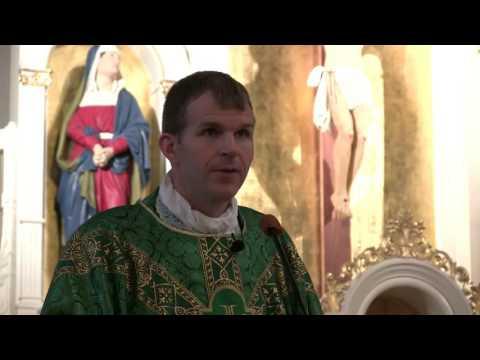 ASP - Fr. Jonathan Meyer - The True Meaning of Marriage Vows - Luke 20: 27-38 - 11.6.16