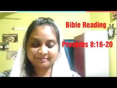 14.08.2020 Bible Reading, Proverbs 8:16-20