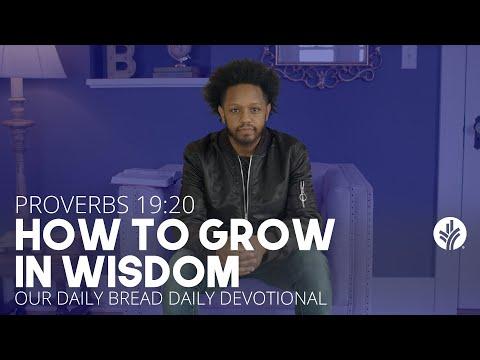 How to Grow in Wisdom | Proverbs 19:20 | Our Daily Bread Video Devotional