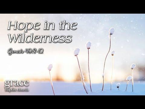Hope in the Wilderness | Genesis 49:8-12