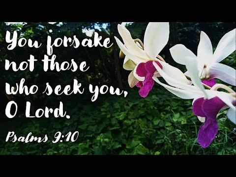 PSALMS 9:8-9, 10-11, 12-13 | YOU FORSAKE NOT THOSE WHO SEEK YOU, O LORD. #Psalms9 #YourLove