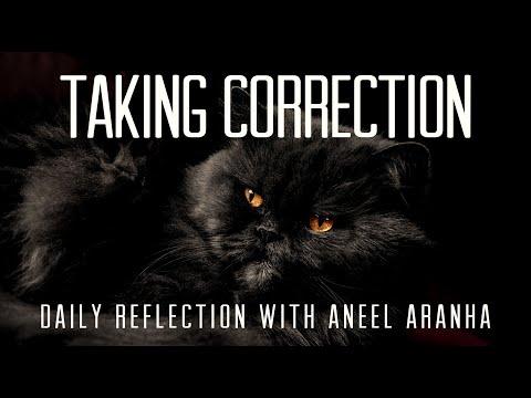 Daily Reflection with Aneel Aranha | Luke 11:42-46 | October 14, 2020