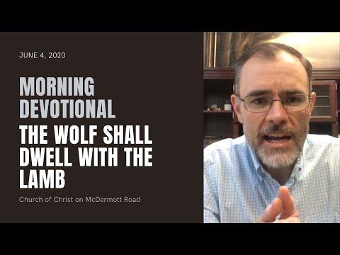Morning Devotional - The Wolf Shall Dwell with the Lamb (Isaiah 11:1-9)