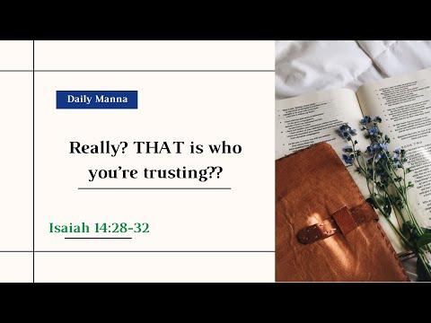 “Really? THAT is who you’re trusting??”  (Isaiah 14:28-32) - Daily Manna - 09/07/2022