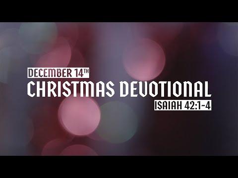 Christmas Devotional: Day 14 - Isaiah 42:1-4