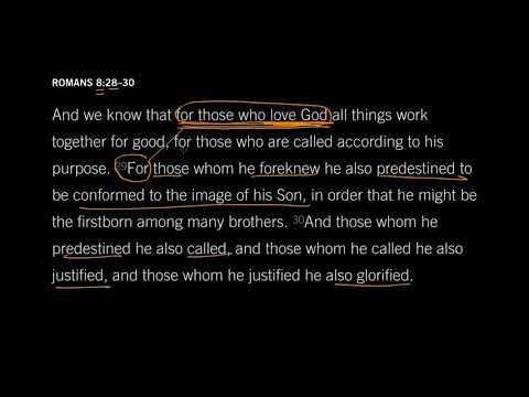 John Piper: Romans 8:28, Part 2 - Do You Love God? [Episode 22]