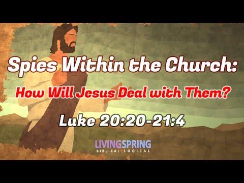 Who Are the Spies Within the Church? (Exposition of Luke 20:20-21:4)
