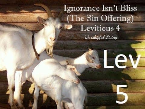 Leviticus 5:1-19 The Sin Offering Continued Part 1-2