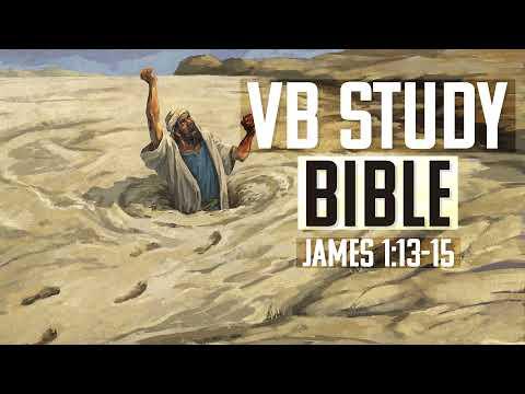 James 1:13-15 | The Video Bible Study Bible
