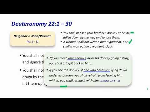 Deuteronomy 22:1 - 30