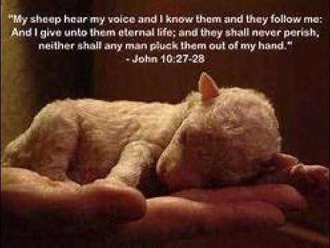 Deep study John 10:27  "My SHEEP HEAR MY VOICE and they FOLLOW ME"