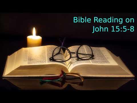 Bible Study on John 15: 5 - 8
