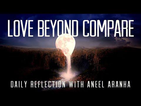 Daily Reflection with Aneel Aranha | John 15:9-17 | May 14, 2020