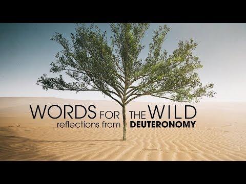People of the Wild | Deuteronomy 9:6-29