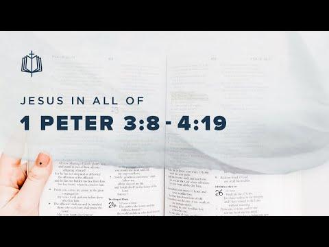 SUFFER FOR RIGHTEOUSNESS SAKE | Bible Study | 1 Peter 3:8-4:19