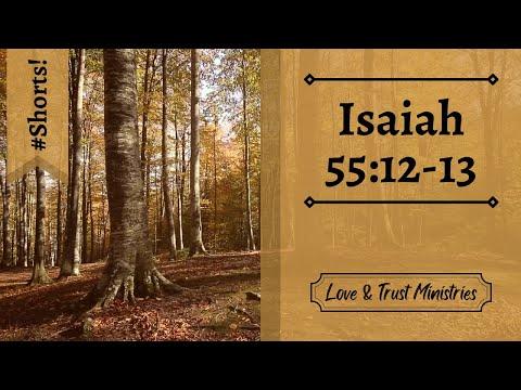 Go in Joy and Peace! | Isaiah 55:12-13 | October 24th | Rise and Shine Shorts