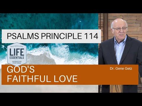 Psalms Principle 114: God's Faithful Love (Psalm 119:65-88)