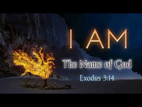 I AM (THE NAME OF GOD) Basic Exodus 3:14 with D Viewpoint Aris