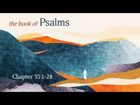 Psalm 35:1-28