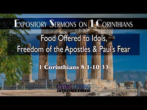 Can Christians Eat Food Offered to Idols? (1 Corinthians 8.1-10:33)