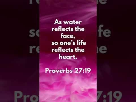 What Do You See? * Proverbs 27:19 * Today's verses