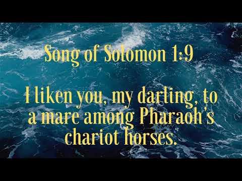 Time to read Bible book of Song of Solomon 1:1-17
