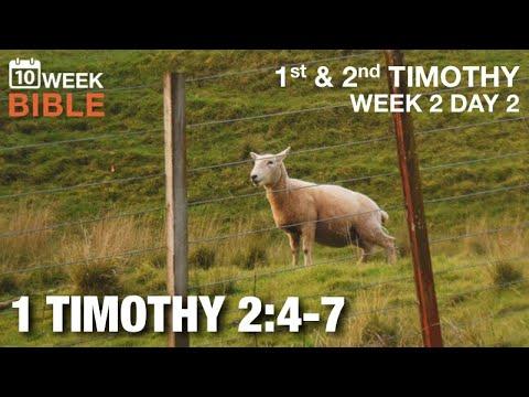 There Is One God | 1 Timothy 2:4-7 | Week 2 Day 2 Study of 1 Timothy
