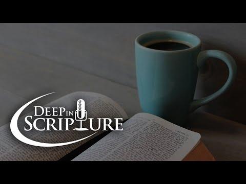 Matthew 24:44, Psalm 119:11, and Staying in God's Word -  Marcus Grodi and Dr. John Bergsma