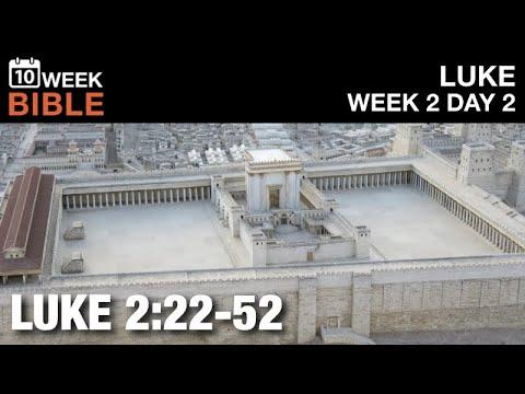 Young Jesus in the Temple | Luke 2:22-52 | Week 2 Day 2 Study of Luke