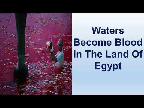 Waters Become Blood In The Land Of Egypt - Exodus 7:1-25