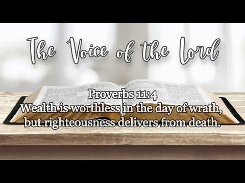 Proverbs 11:4 The Voice of the Lord  February 15, 2022 by Pastor Teck Uy
