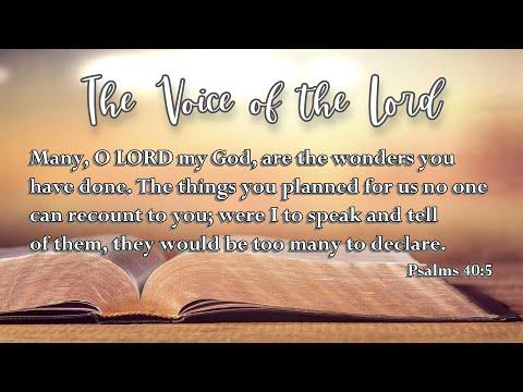 Psalms 40:5 The Voice of the Lord  February 26, 2022 by Pastor Teck Uy