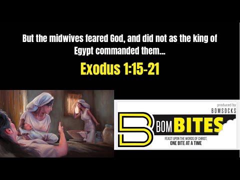 BOM-BITES Episode #514 - Exodus 1:15-21