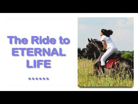 The Ride to eternal Life... Jesus & The Donkey ❤️ Jesus explains Matthew 21:7