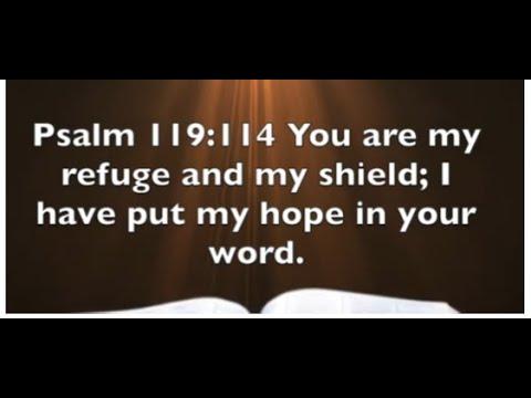 Psalm 119:114 - Lord You Are My Refuge and My Shield