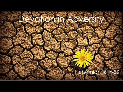 Devotion in Adversity, Nehemiah 3:14-32, Youth Sermon, February 13, 2022