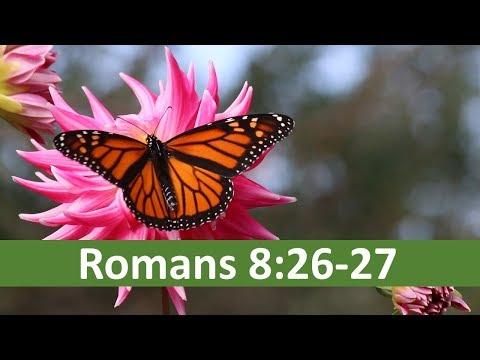 Bible Verse of the Day - Romans 8:26-27